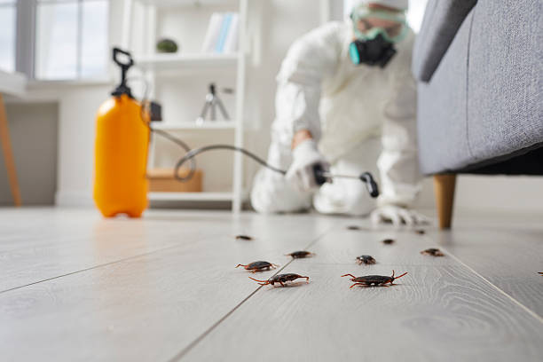 Post-Treatment Bed Bug Interceptor Monitoring in Margate City