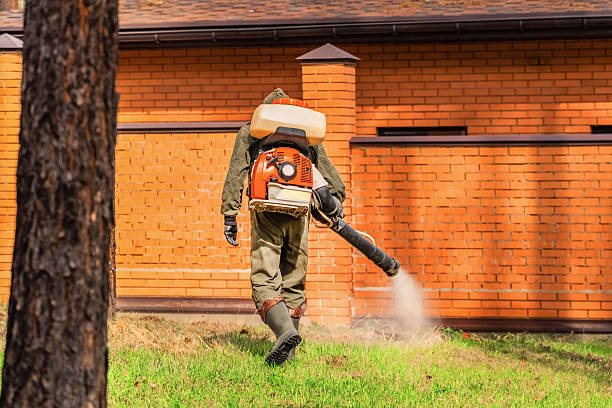 Bed Bug Clearance Verification and Documentation in Margate City